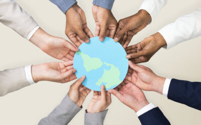 Környezettudatos csomagolás a Box Printtől – hogyan garantáljuk a fenntarthatóságot vállalatunknál, és hogyan tudunk partnereinknek is segíteni ebben