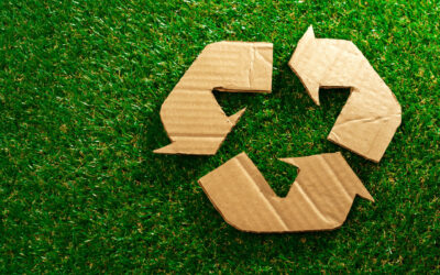 A fenntarthatóság és a környezettudatos csomagolóanyag fontossága az FMCG szektorban